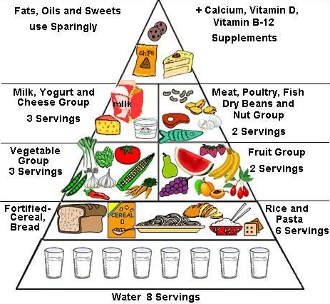 PTE口语DI的真题：Food Pyramid