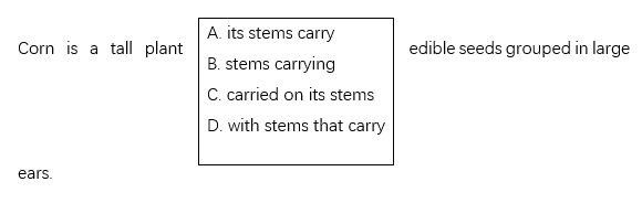 小托福考试语法难点有哪些? 小托福考试语法难点有哪些?