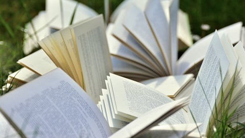 books-2241635__340.jpg
